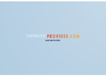 Have you ever heard of SMM Panels before? Well, Here’s “Theperfectprovider”