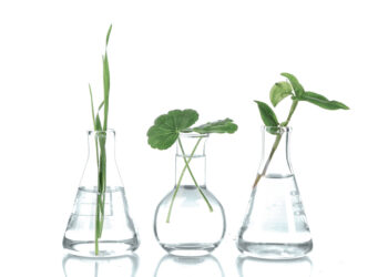 LANXESS Flavors & Fragrances: Sustainable alternative for every product by the end of 2023