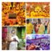 Divine Energy and Spectacular Celebrations at Krishna Shakti Mahotsav Under the Guidance of National Saint Vasant Vijay Ji Maharaj