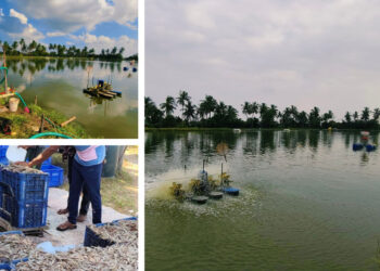 India’s Aquaculture Innovation Is Finally Home-Grown, And Built for the Future